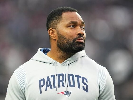 Jerod Mayo Net Worth